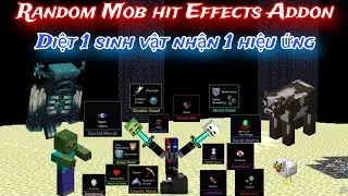 Hướng dẫn sử dụng Random Mob hit Effects addon
