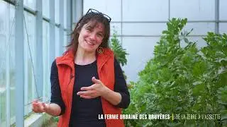 La ferme urbaine des Bruyères