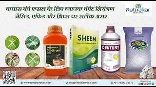 Cotton insecticide || Sucking pest || Helthy crop || Cotton