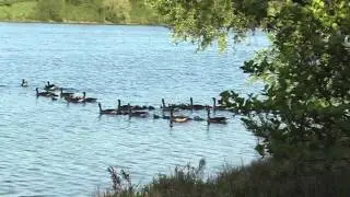 Rundgang um den Uettelsheimer See
