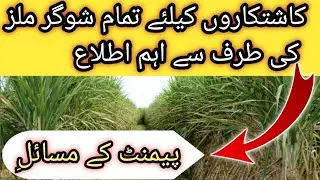 All Shugarmil payment issues! shugarcane rates updates!@localfarmers20