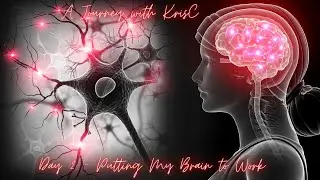 A Journey with the Dynamic Neural Retraining System - Day 2 Reflection