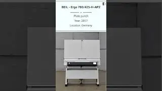 Used Plate Punch Machine | BEIL - Ergo 780/425-H-AP2 for SALE @Machinedalal