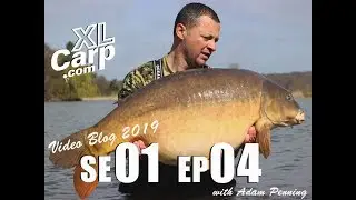 Fryerning Fisheries Video Blog Ep 4 March 2019 with Adam Penning