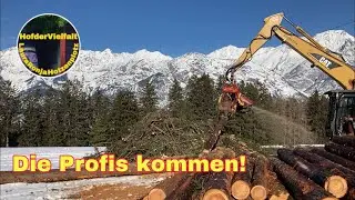 Den Profis &uuml;ber die Schulter schauen | Valentini Kippmast | Fendt310 Vario tms | Woody60 | Farmvlog