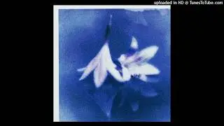 [free for profit] ambient + experimental type beat 