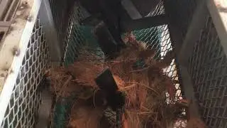 Coconut Peat Shred Machine(Coo Nyoq Shredder) by Nizautomac Enterprise