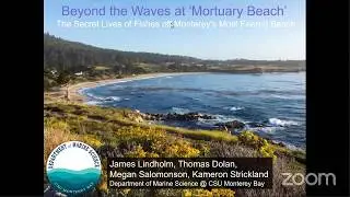 James Lindholm Presents: Ocean ecology of steelhead as revealed by pop-up satellite archival tags