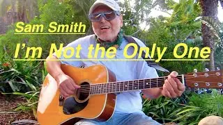 I&rsquo;m Not the Only One - Sam Smith (cover)