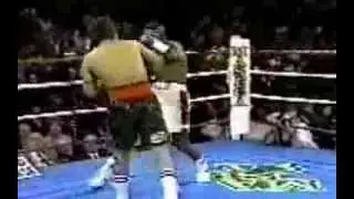 Феликс Тринидад vs Луис Рамон Кампас (Felix Trinidad vs Yory Boy Campas. Round1 Only