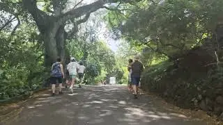 Waimea Valley Botanical Gardens and Waterfall 8/16/2025