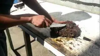 COMIENDO PIURES AL NATURAL