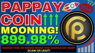 PAPPAY Coin Mooning By 899.98% | BrowniesSwap Coin News | Bitsten Token News | Cryptocurrency News