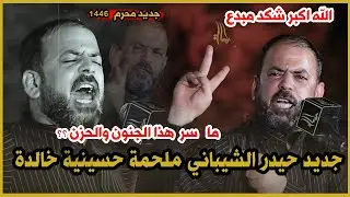 جديد الشاعر حيدر الشيباني ماسر هذا الجنون والحزن ؟ ملحمة حسينية خالدة مهرجان  نافذ البصيرة