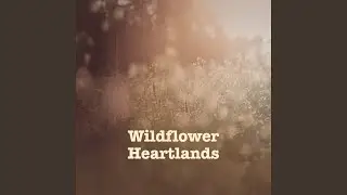 Hayfields and Hummingbirds