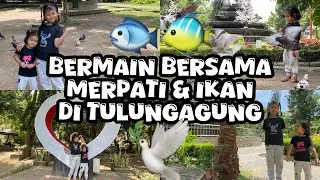 BERMAIN BERSAMA IKAN & BURUNG DI ALUN ALUN TULUNG AGUNG