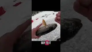 Trout n&rsquo; Perch Catch & Cook!!!#fishing #catchandcook #troutfishingtips