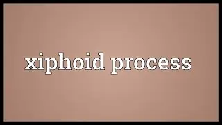 Xiphoid process Meaning