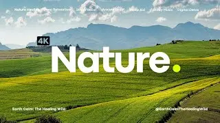 The World is Too Loud Reset Your Soul in This Green Paradise Deep Healing & Relaxation (4K)
