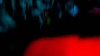 SDC10480