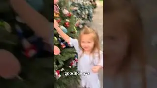 Funny Christmas Videos 2025 Compilation