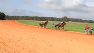 Erv Miller Stable