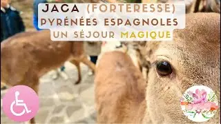 JACA & PYRENEES ESPAGNOLES - S&eacute;jour magique- Roadtrip Espagne - handi & family vlog
