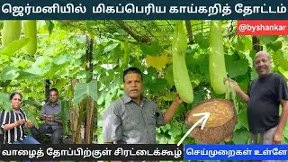 ஜெர்மனியில் மிகப்பெரிய தமிழ்க் காய்கறித் தோட்டம் | எப்படி நீங்கள் தோட்டம் செய்யலாம்! | inspiration 