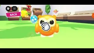  New Owls 🦉   in adoptme seed balls opening 