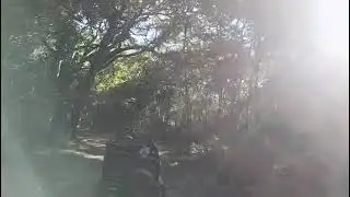Kaziranga National park in school trip with my friends and teachers 🤯🦅||#1ksubs||so many animals see