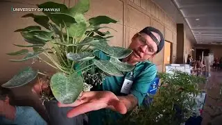 University of Hawaii hosts Research Day 2026 at the Hawaii State Capitol