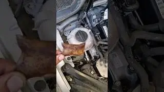 vw mk7 coolant  g13 #mehanic