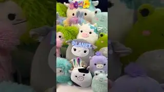 I want my own SPRING SQUISHMALLOWS planet! #squishmallows #shorts