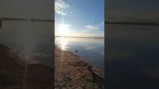 Sunset at Beach - Leipziger Neuseenland - Winter 2026