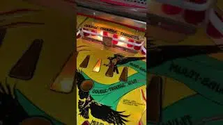 Jungle Lord Repair Williams System 7 Pinball Machine Drop Target Issue IC Chip Replacement - Part 1