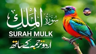 Surah Al-Mulk سورة الملك | Heart-Calming Recitation for Protection, Peace & Night | #surahmulk