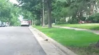 Squirrels Gone WILD!!! Real Funny Squirrel Moment