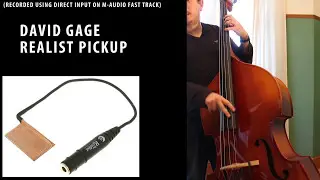 Pickup comparison: David Gage The Realist / K&K Bass Max