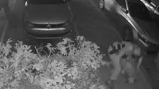 Video shows Palm Bay officer hitting man during arrest