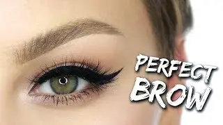 PERFECT Brow Tutorial: How to use Dipbrow  | Alexandra Anele