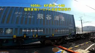 東洋紡前踏切を通過する貨物2選と115系電車　1056レ　EF210－140　2082レ　EF210－333