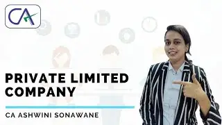 What is Private Limited Company with Advantages and Disadvantages