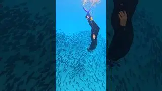 Gliding through a school of fish #snorkeling #diving