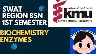 🔴 Swat Region | Enzymes | Biochemistry | BS Nursing 1st Semester | Conceptual Nursing Academy