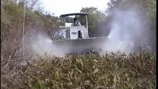 Tiger Cut boat