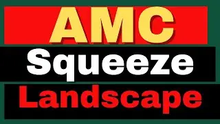 Deciphering AMC Future Amidst Market Turbulence - AMC Stock Short Squeeze update