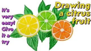 Citrus Fruit Drawing | How to Draw Oranges, Lemons & More