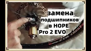 Замена промподшипников в задней втулке велосипеда. HOPE PRO 2 EVO