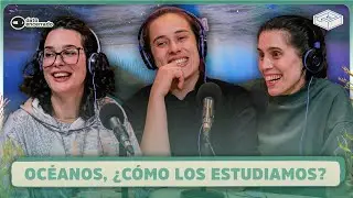 La ODISEA de los PATITOS con ORNE SILVESTRI 🌊 | #DatoEncerrado en FACTOR&Iacute;A