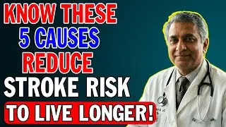 Stroke Risk after 65, 5 Main Causes of Stroke in Seniors _ Senior Health Tips